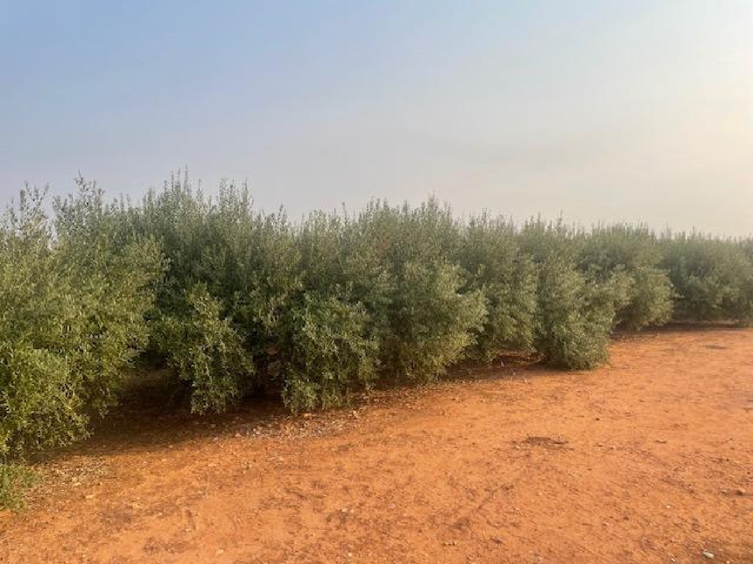 te koop perceel Lo Cartagena Baix Segura 2