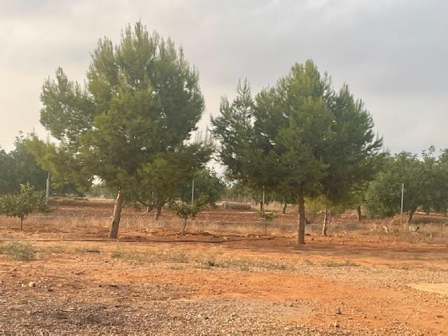  te koop perceel Lo Cartagena Baix Segura 6