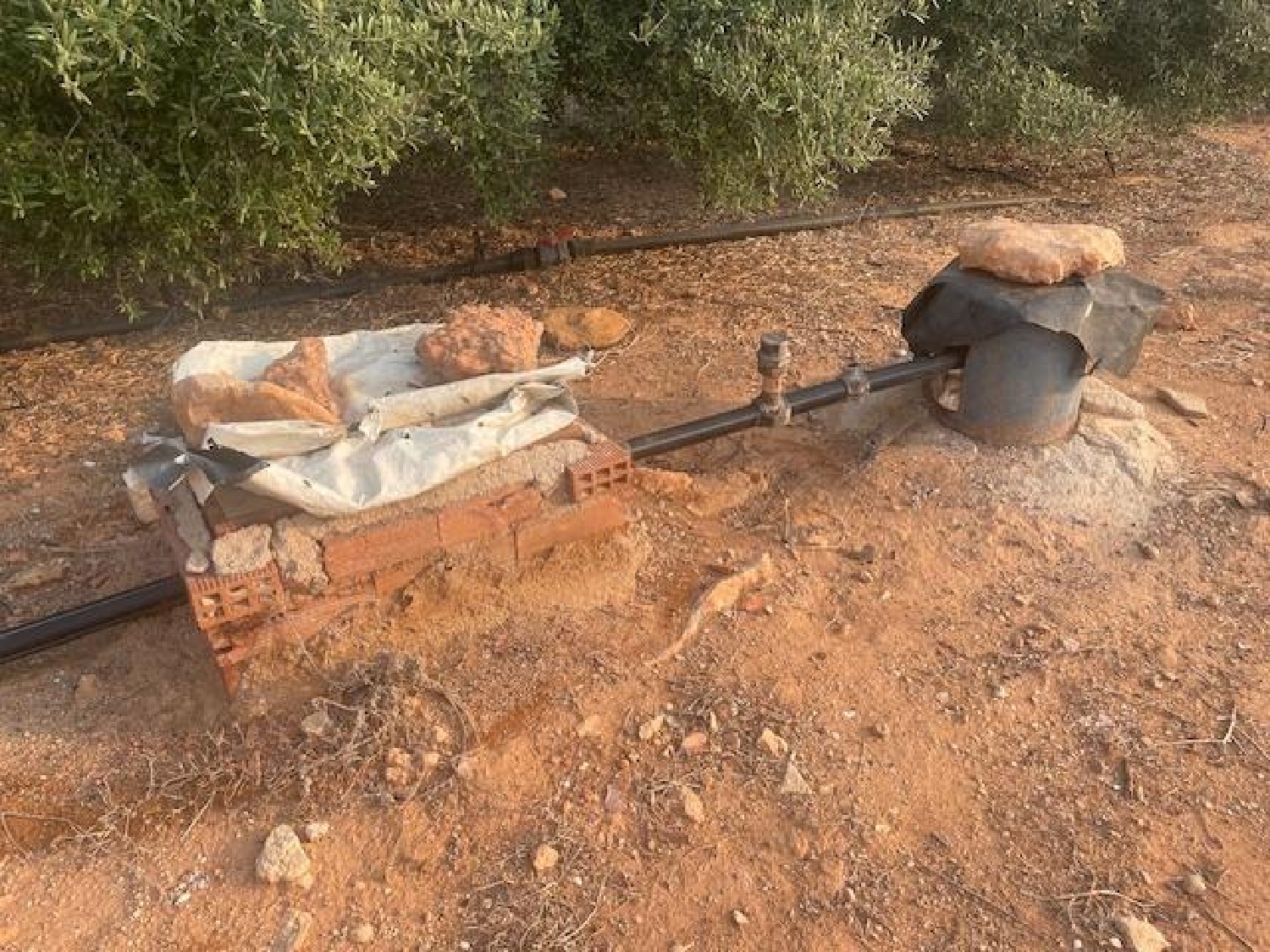  te koop perceel Lo Cartagena Baix Segura 4