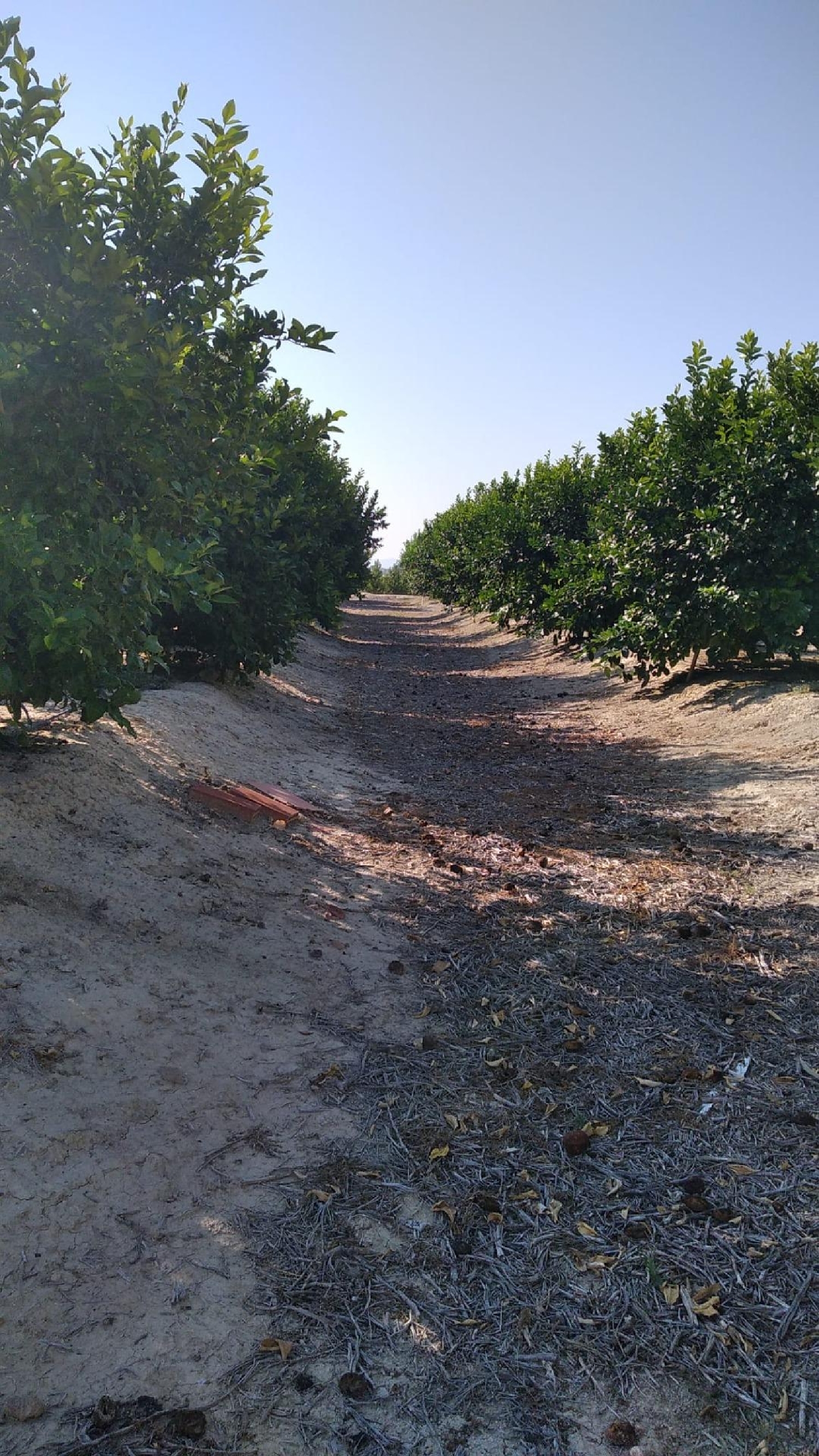 for sale plot Los Cojos Valle Del Almanzora 2