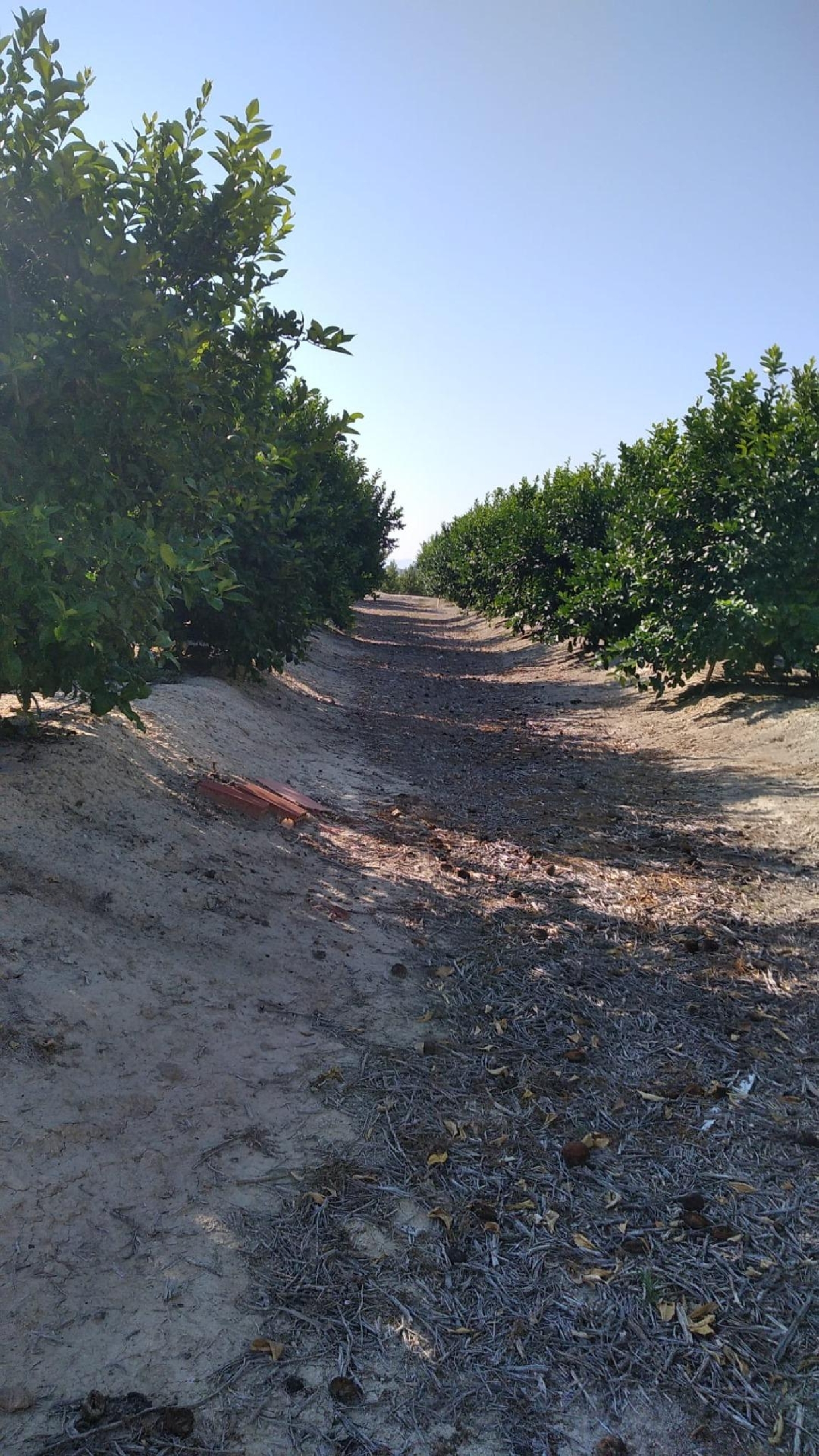 for sale plot Los Cojos Valle Del Almanzora 3