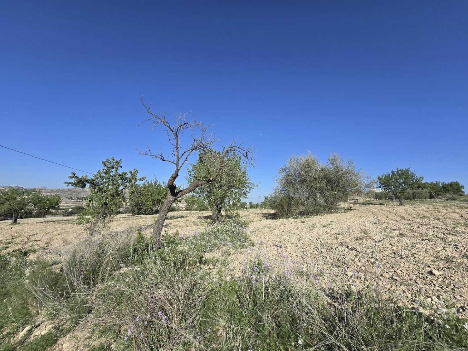 te koop perceel Molins Baix Segura 3