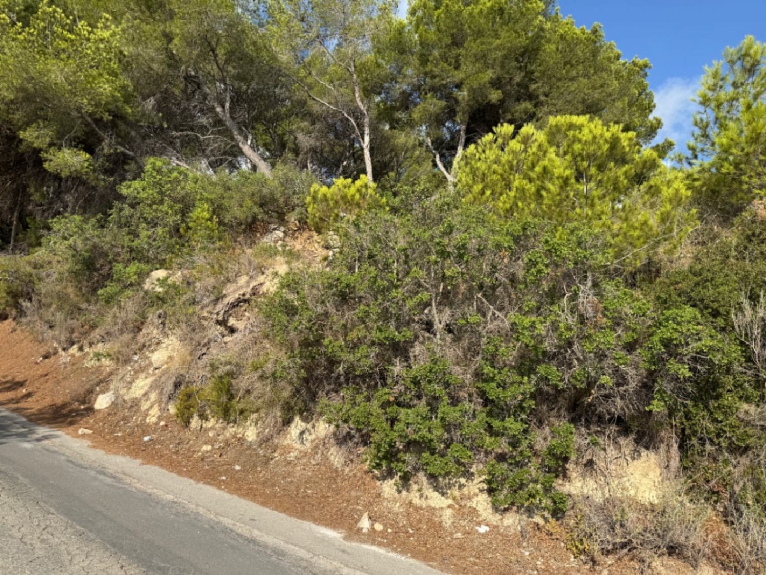  for sale plot Moraira Marina Alta 11