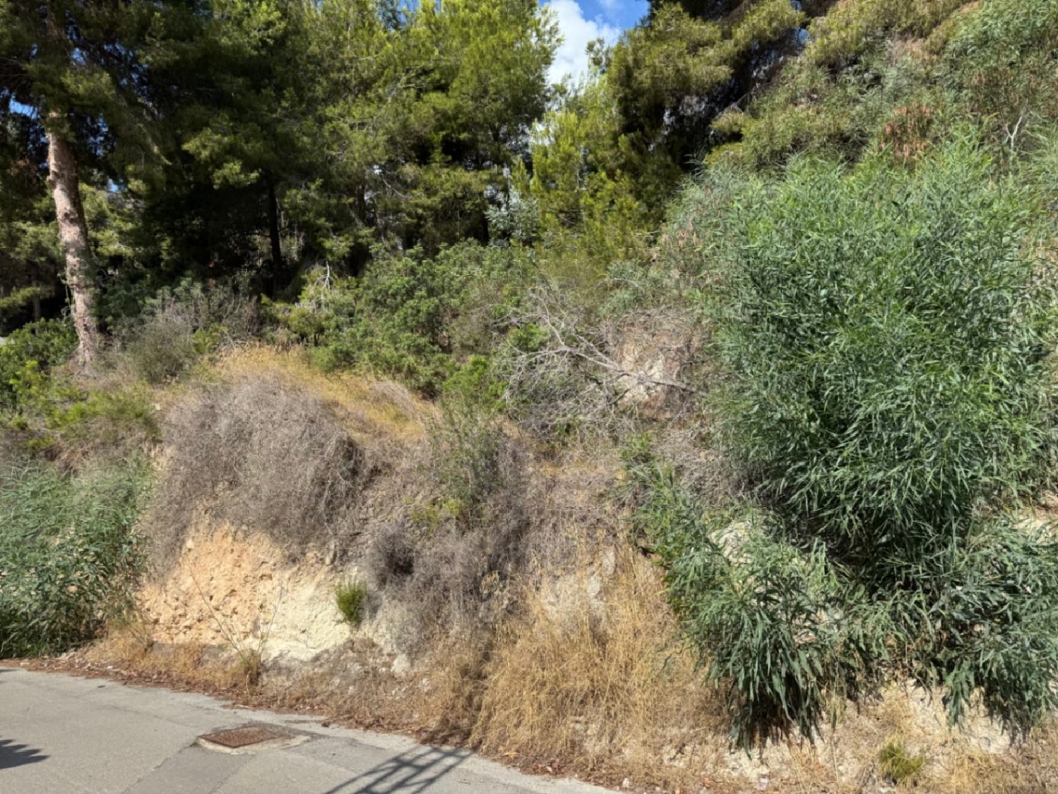 for sale plot Moraira Marina Alta 2