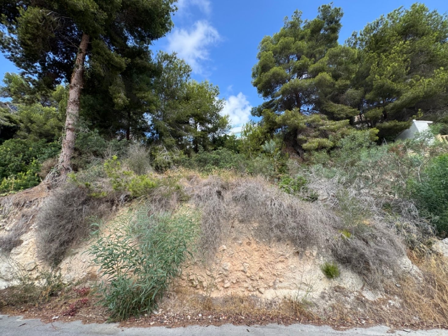  for sale plot Moraira Marina Alta 4