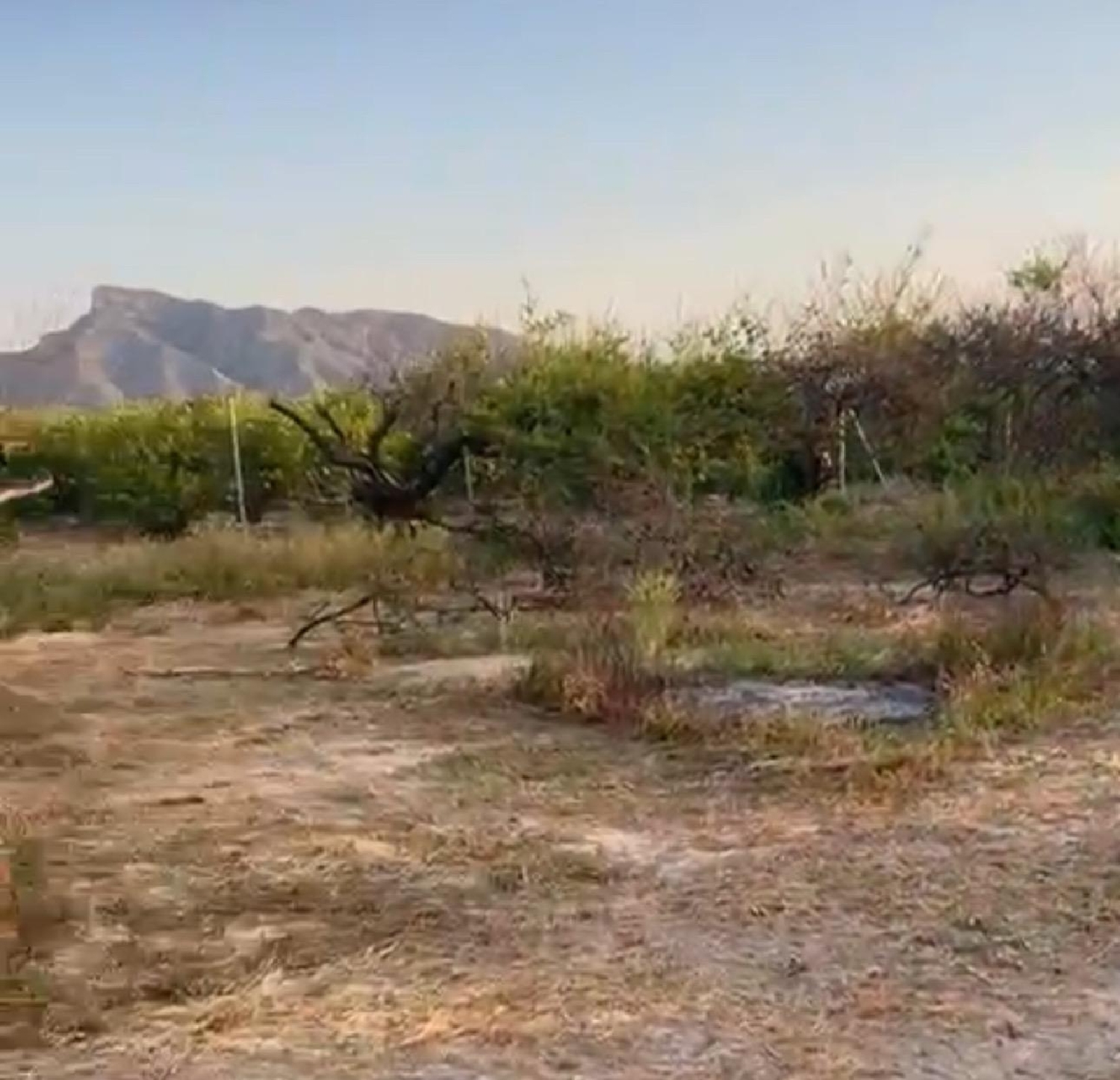  for sale plot Orihuela Baix Segura 8