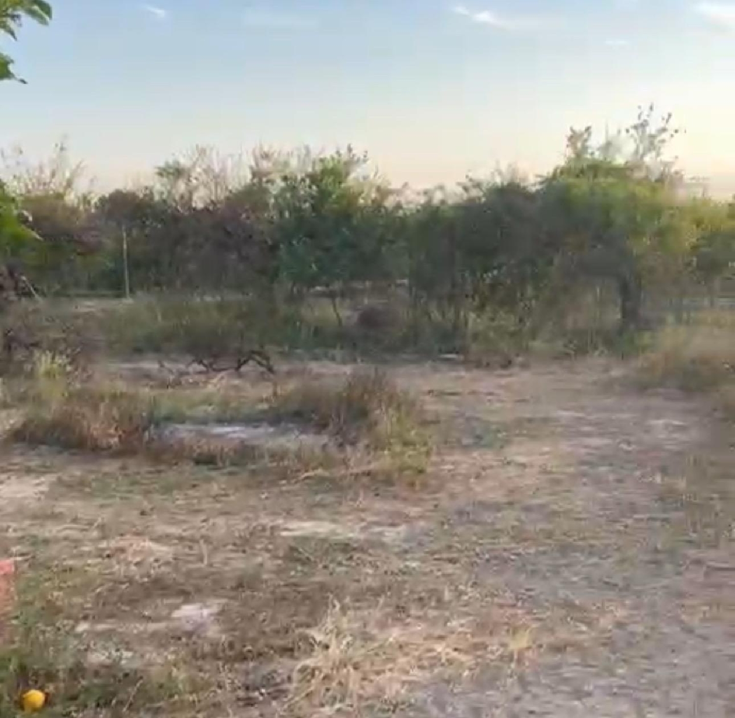  for sale plot Orihuela Baix Segura 4