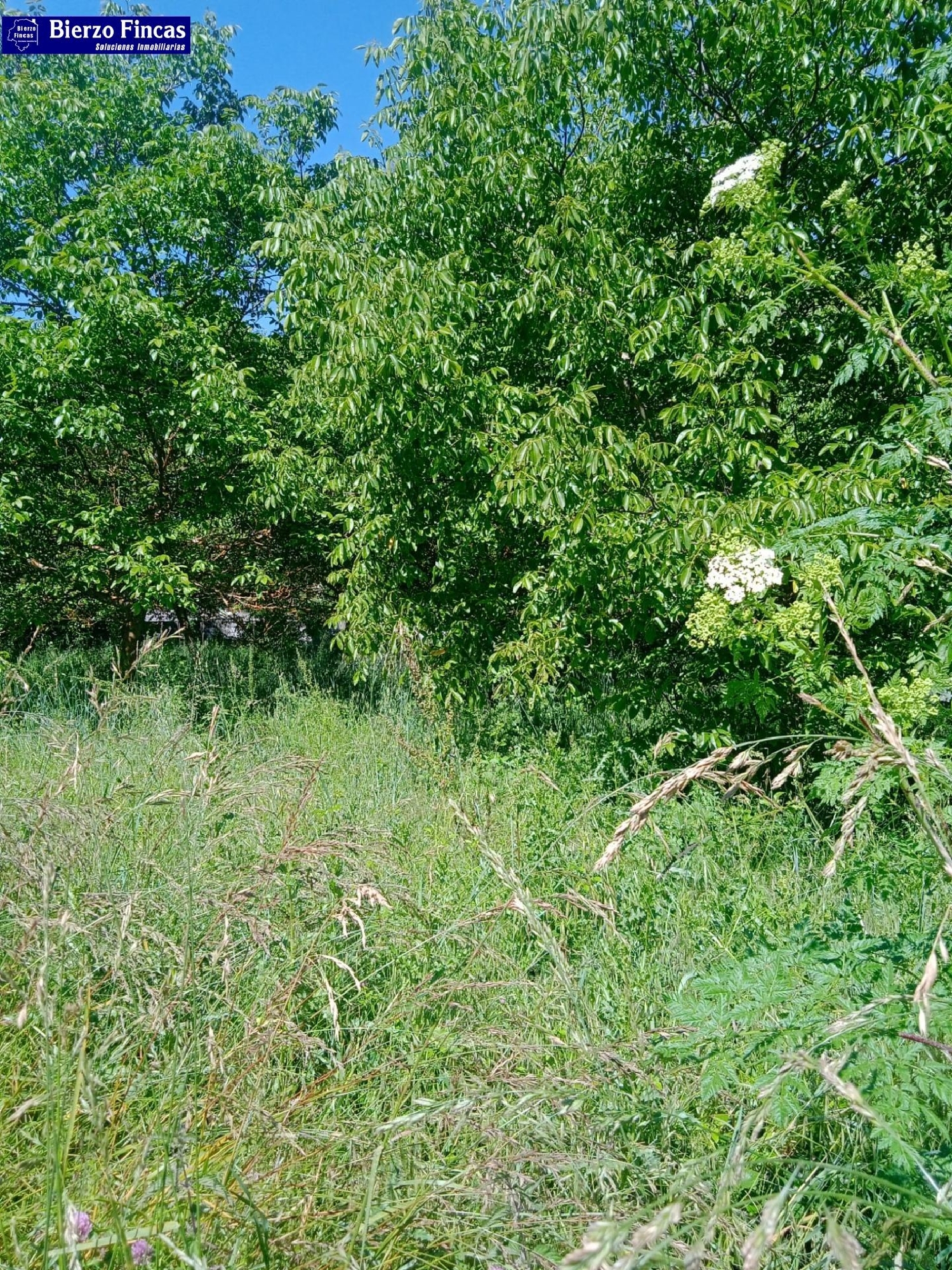  for sale plot Ponferrada 24400 Bierzo (El) 2