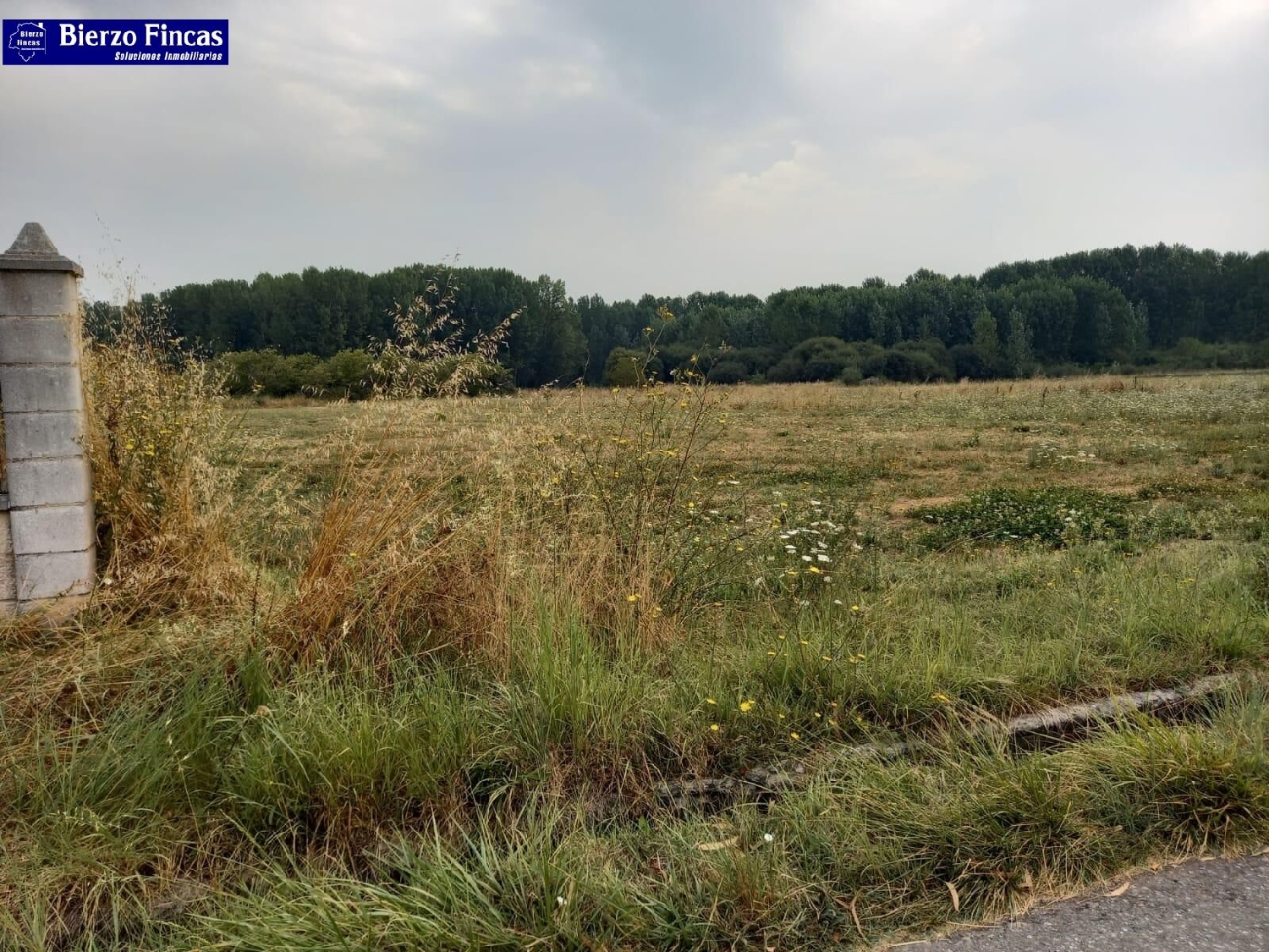  for sale plot Ponferrada 24400 Bierzo (El) 5