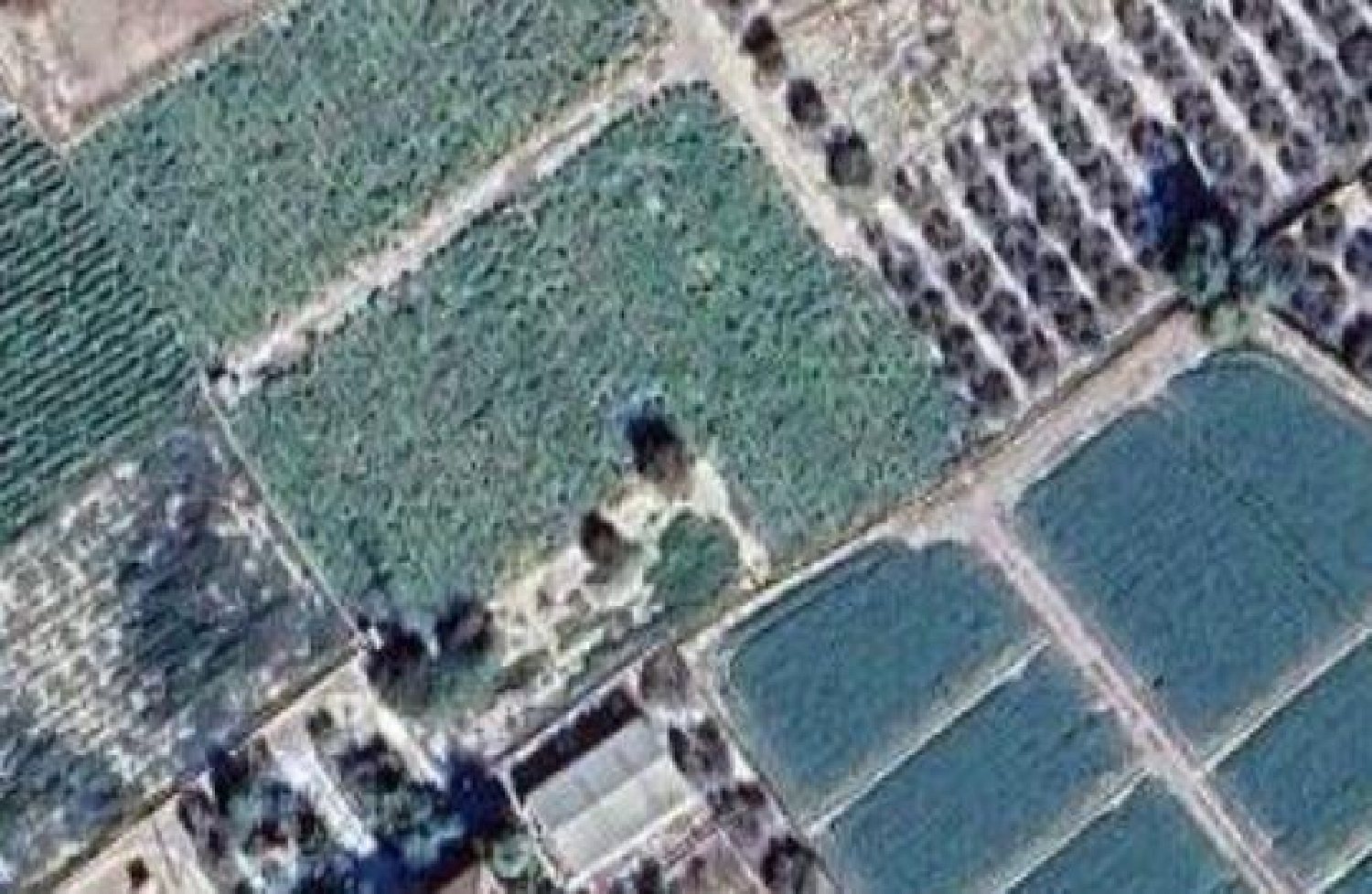  for sale plot Porcariza Arzúa 1