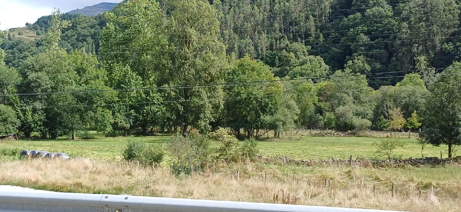 kaufen Grundstück San Miguel De Luena Valles Pasiegos 3