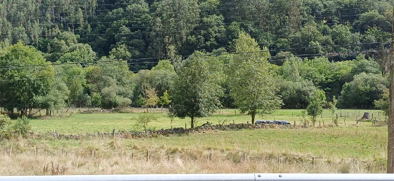 kaufen Grundstück San Miguel De Luena Valles Pasiegos 2
