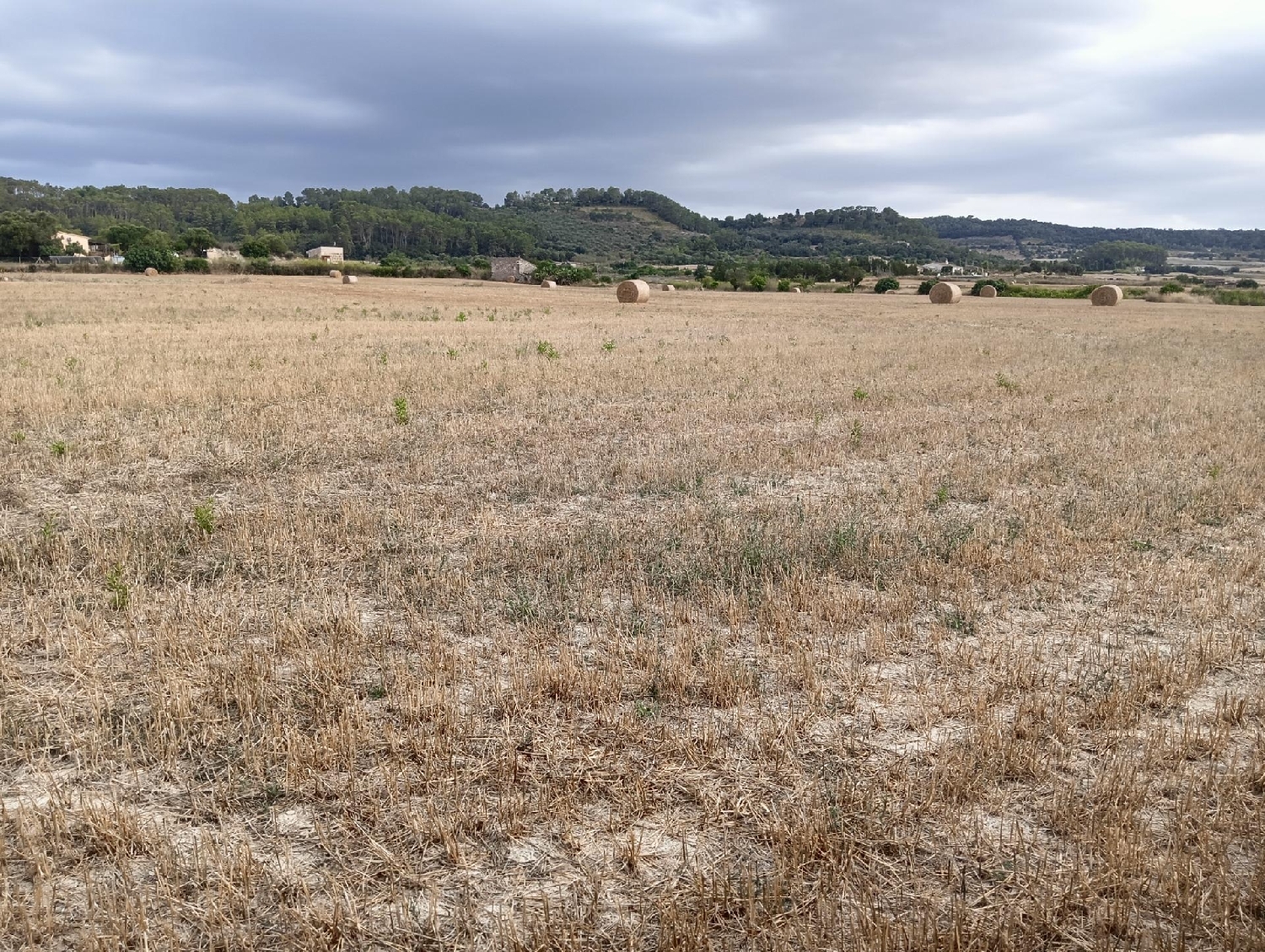  kaufen Grundstück Sant Joan Pla (Es) 4