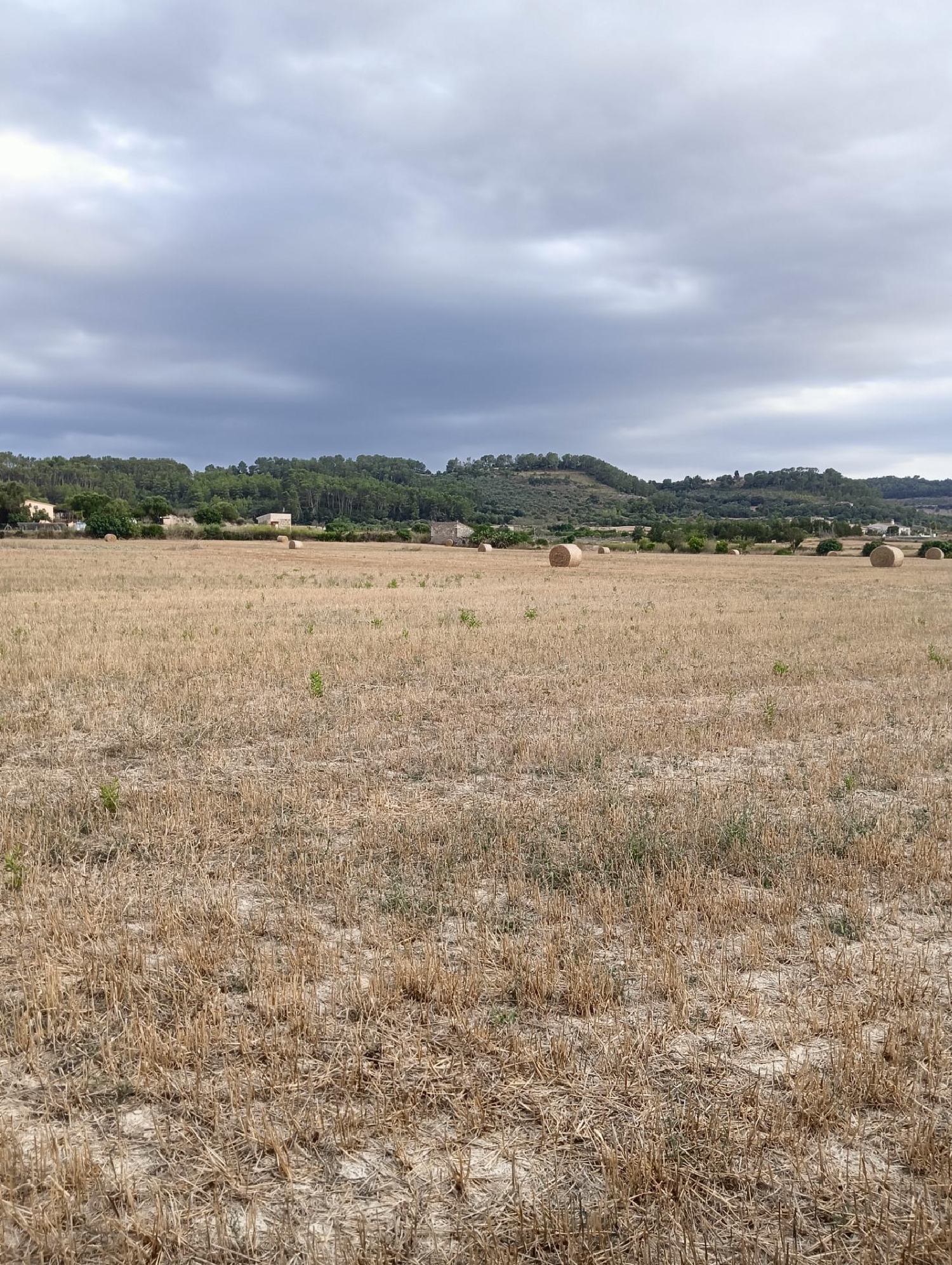 kaufen Grundstück Sant Joan Pla (Es) 3