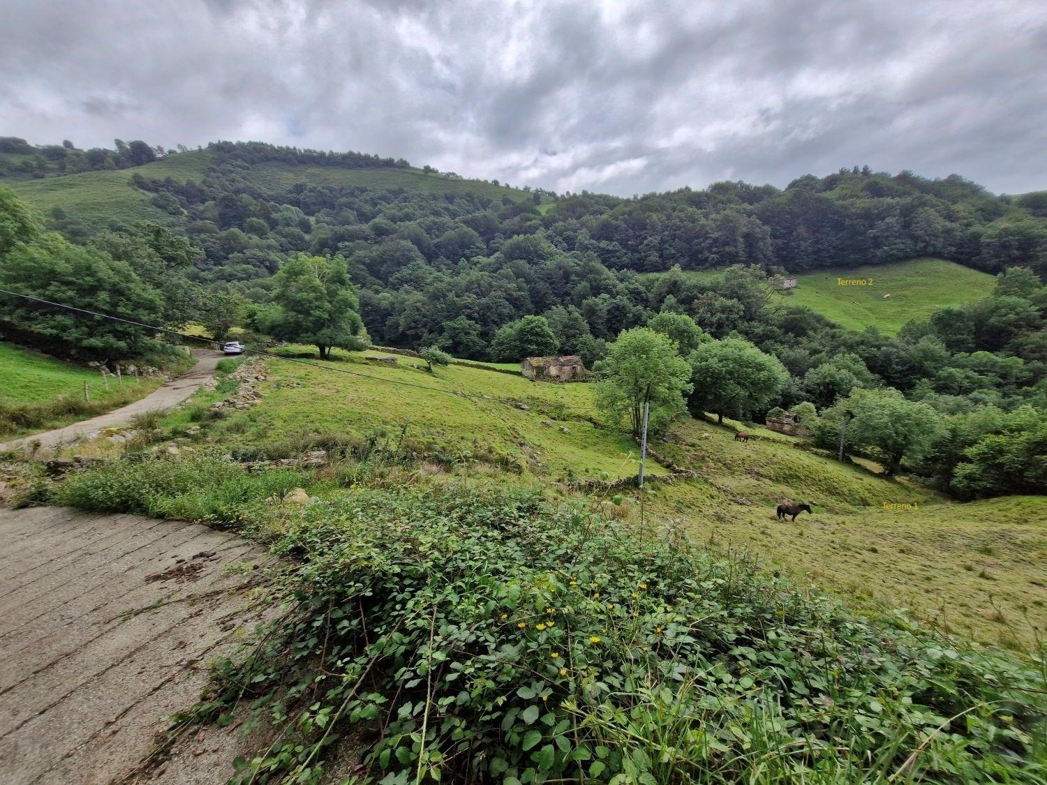 à vendre terrain Selaya Valles Pasiegos 3
