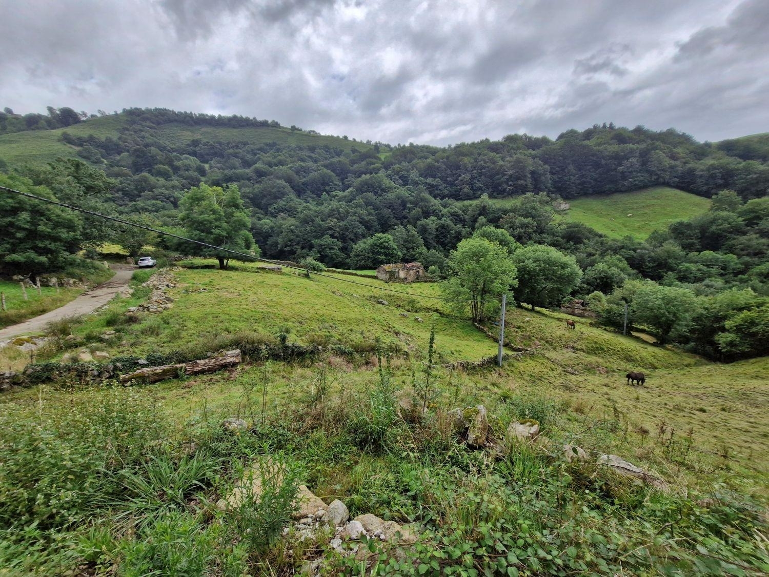  kaufen Grundstück Selaya Valles Pasiegos 5
