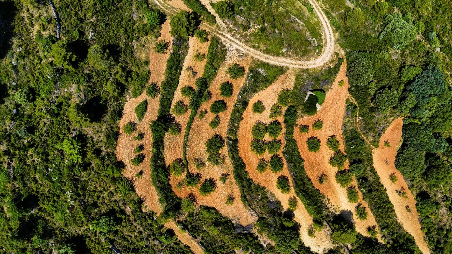  till salu tomt Sierra Engarcerán Plana Alta 5