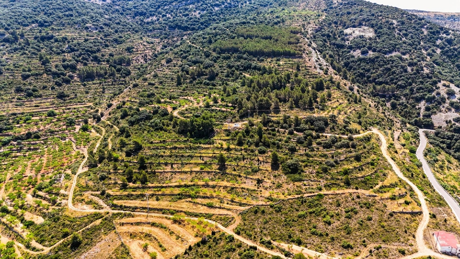  till salu tomt Sierra Engarcerán Plana Alta 1