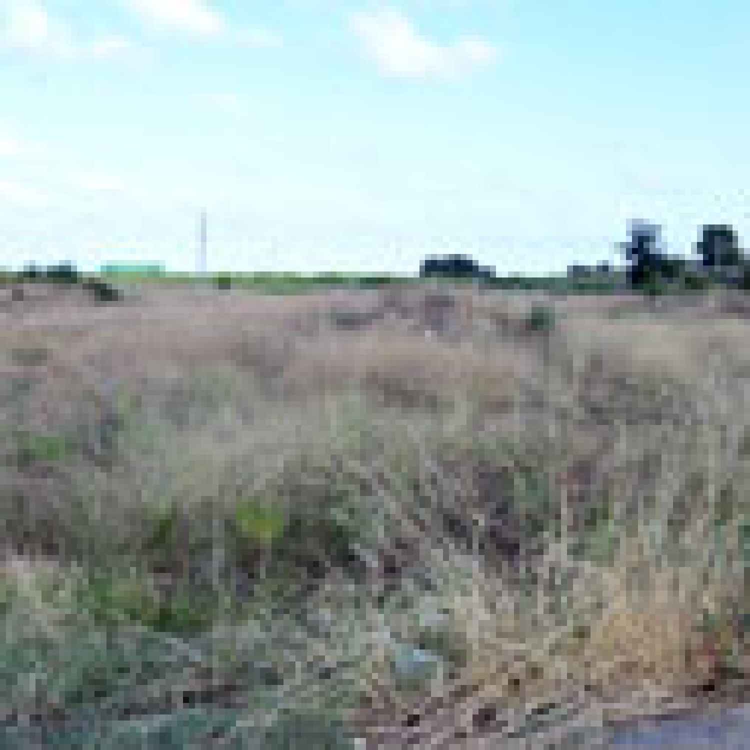  for sale plot Sueras Plana Baixa 4