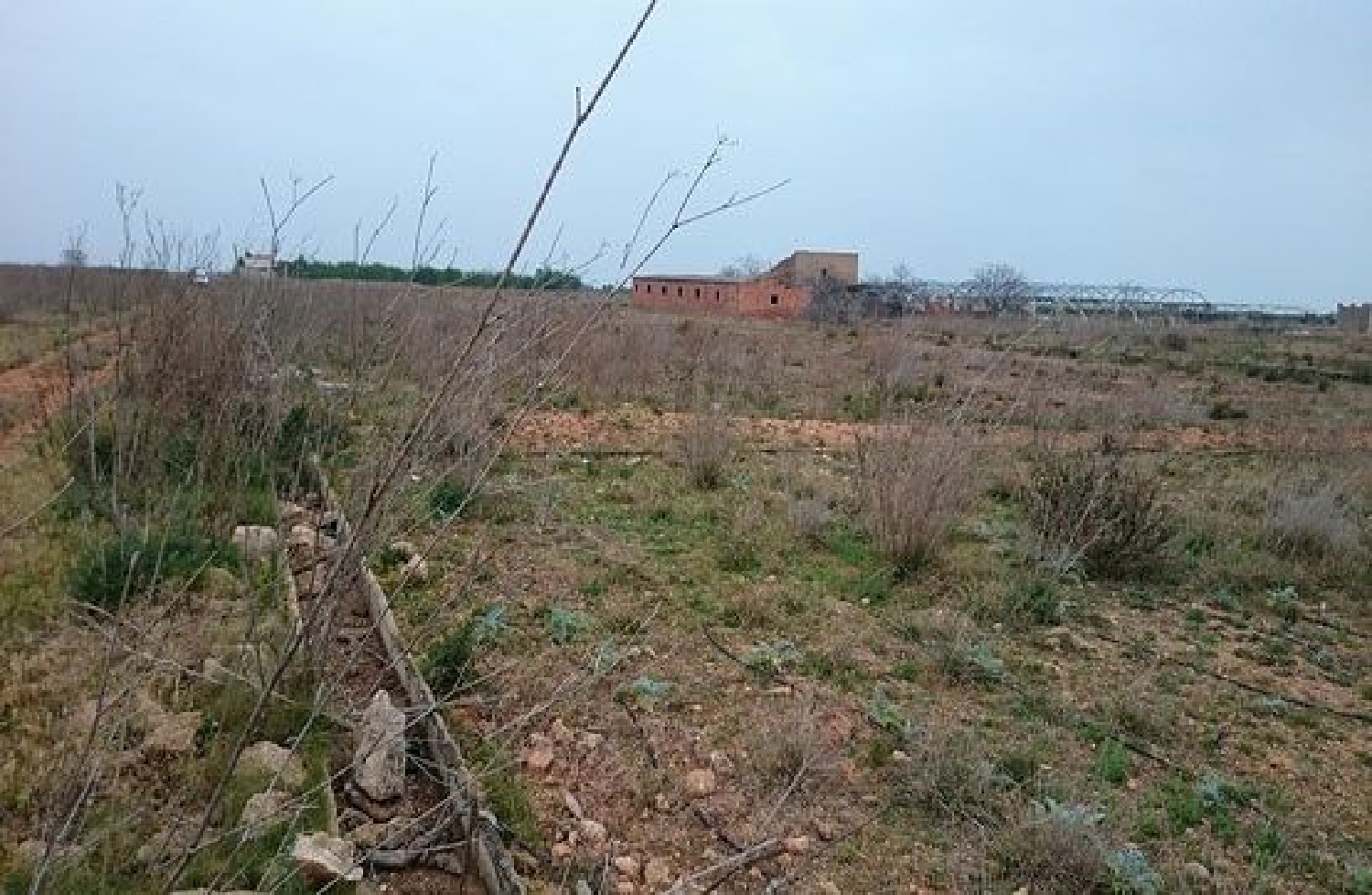 kaufen Grundstück Torreblanca Plana Alta 3