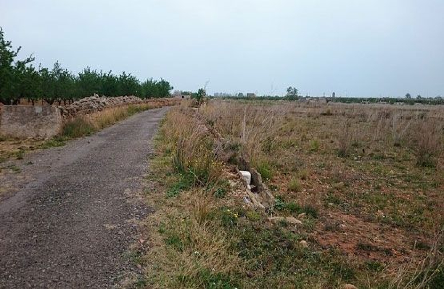  kaufen Grundstück Torreblanca Plana Alta 1