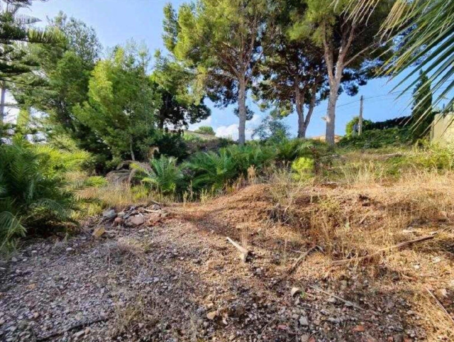 till salu tomt Urbanización Alenda Golf Vinalopó Mitjà 2