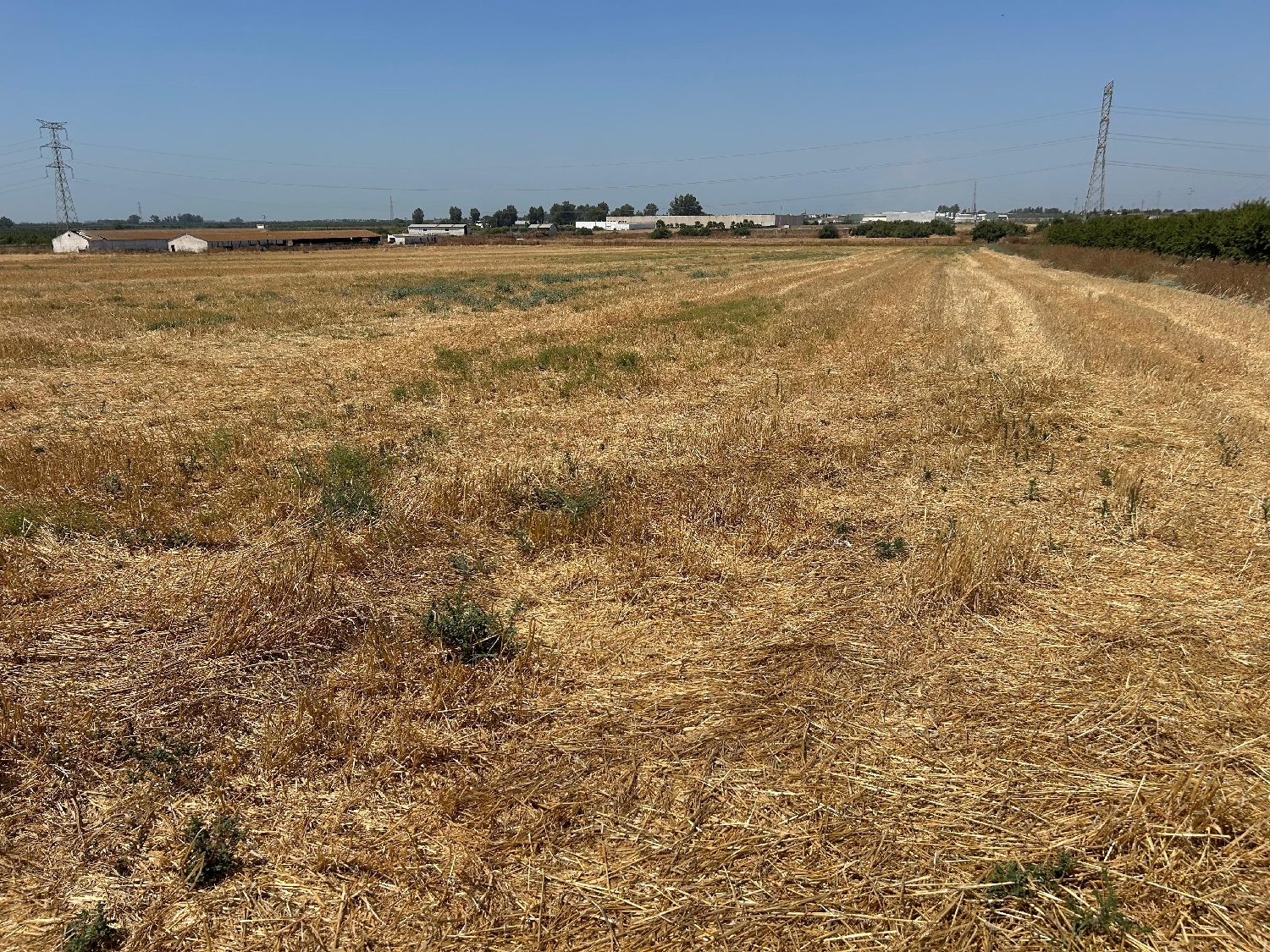  en venta terreno Utrera Bajo Guadalquivir 5