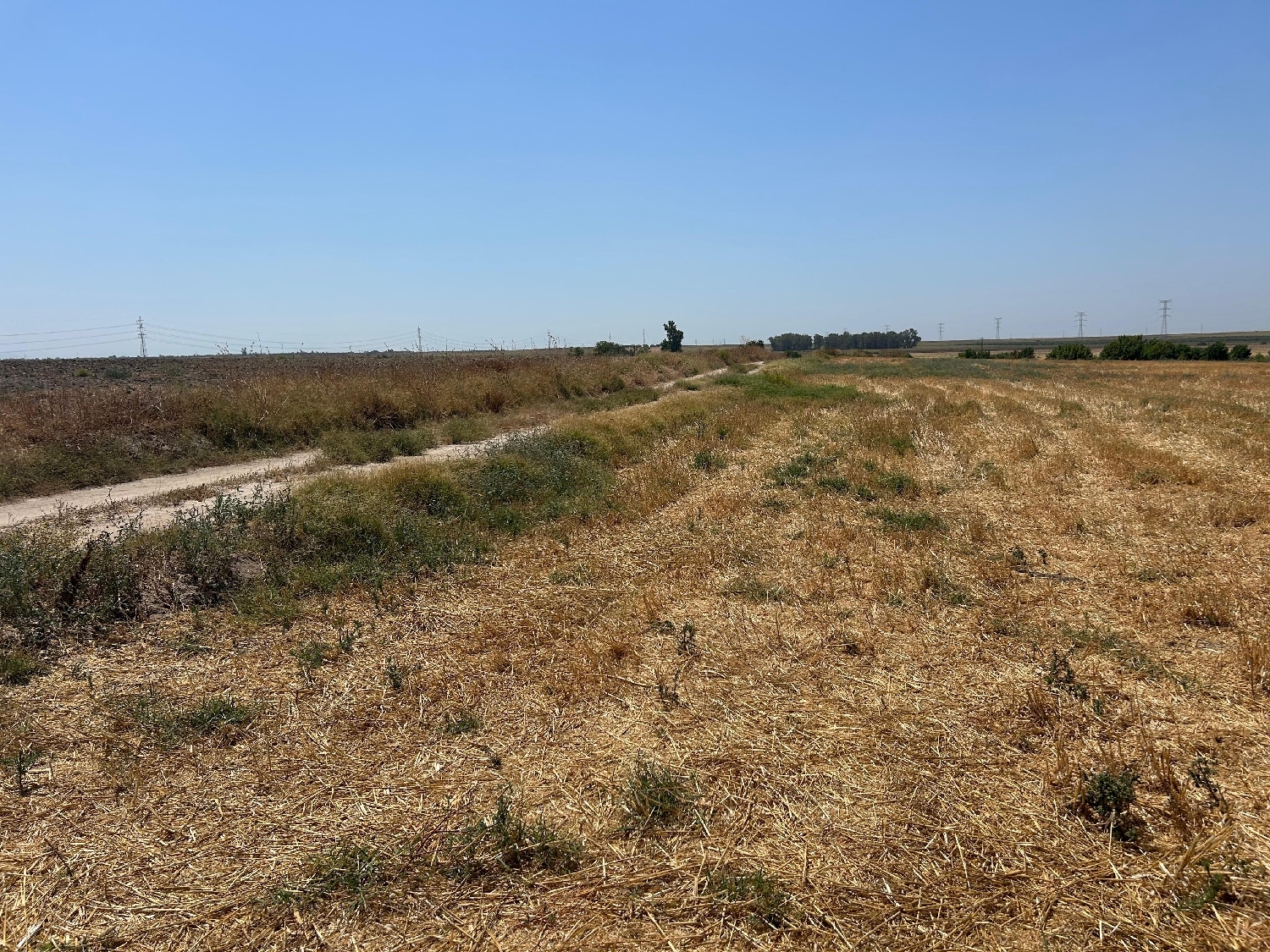  en venta terreno Utrera Bajo Guadalquivir 6