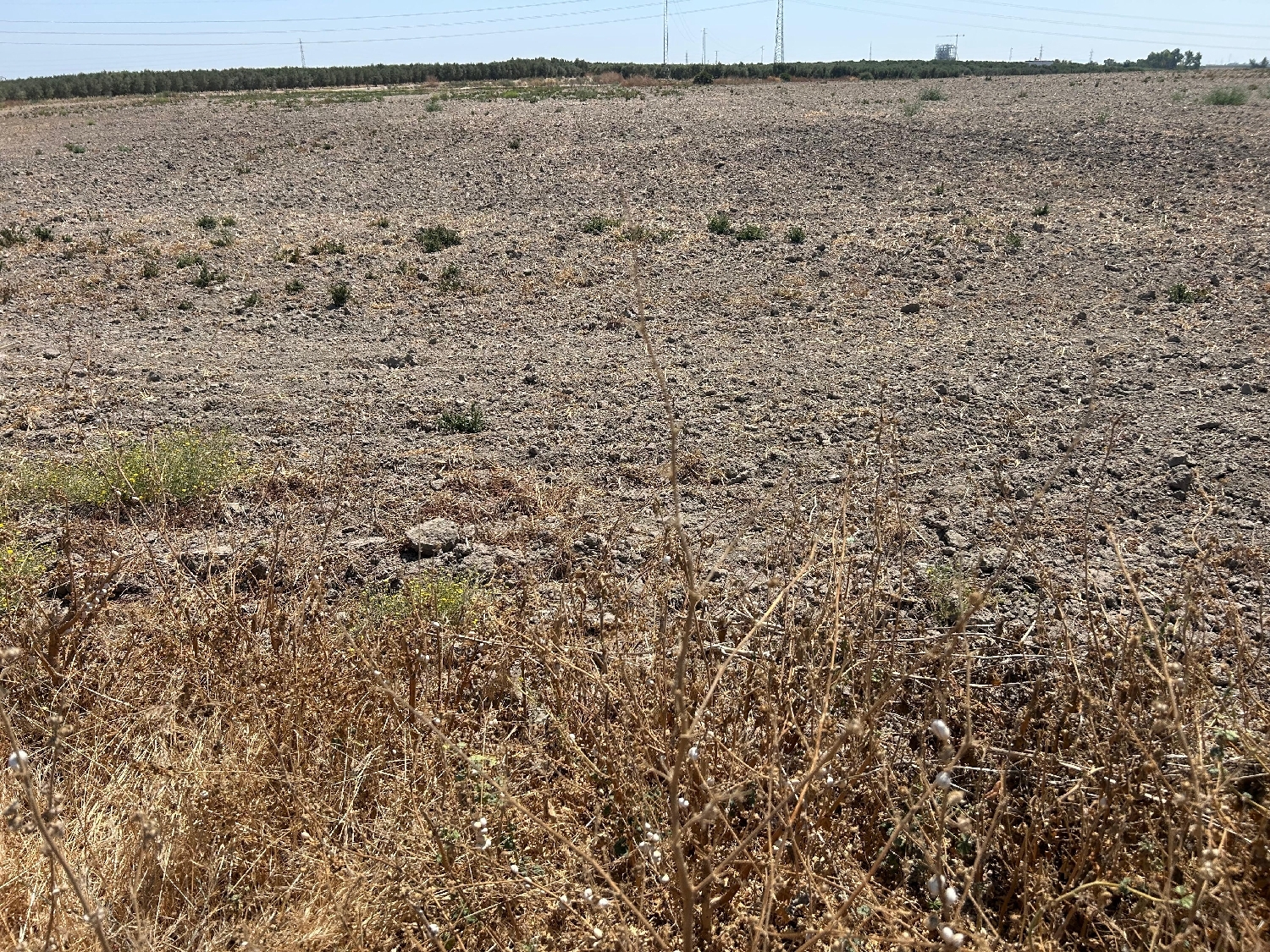  en venta terreno Utrera Bajo Guadalquivir 7