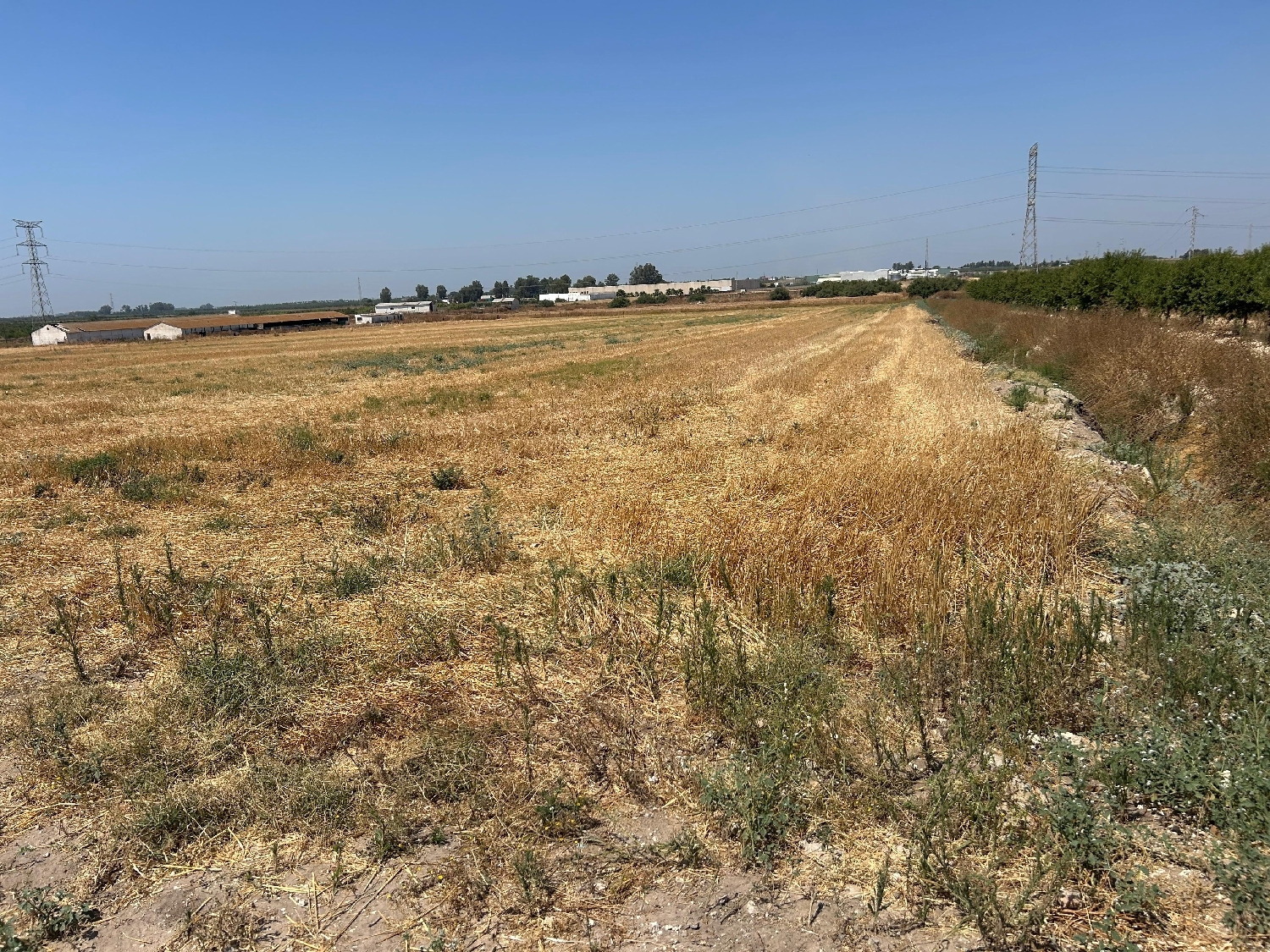  en venta terreno Utrera Bajo Guadalquivir 3