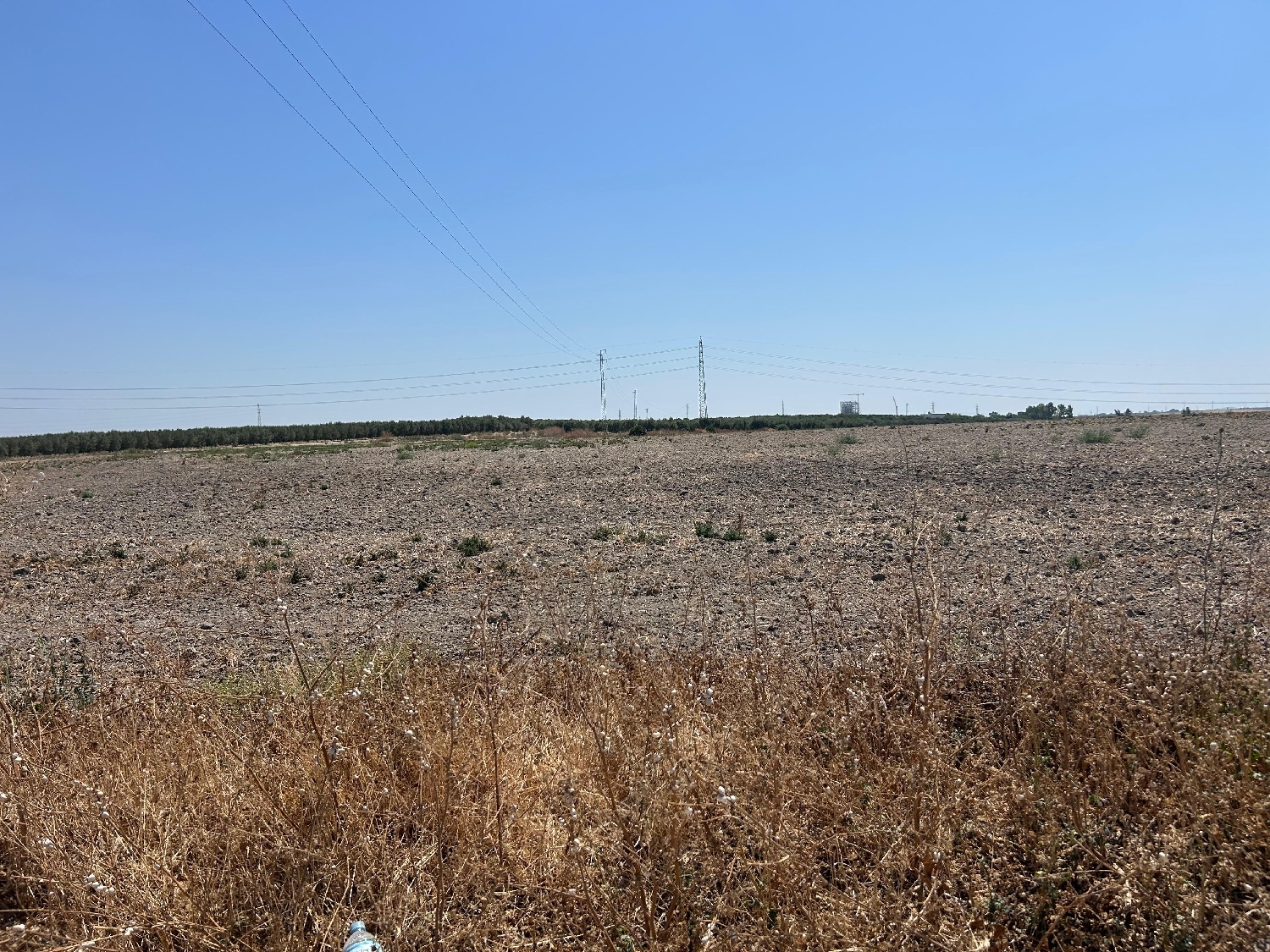  en venta terreno Utrera Bajo Guadalquivir 1