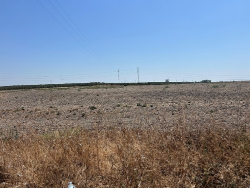 Utrera Bajo Guadalquivir terreno foto 6285657