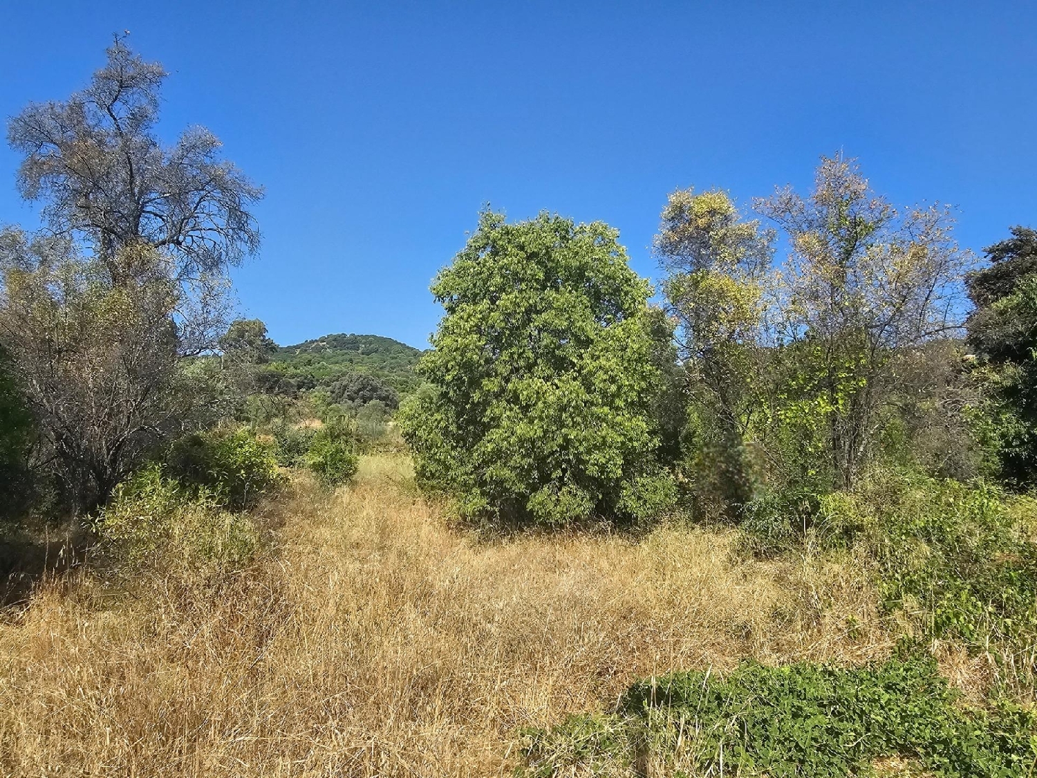 te koop perceel Villafranca De Córdoba Alto Guadalquivir 8