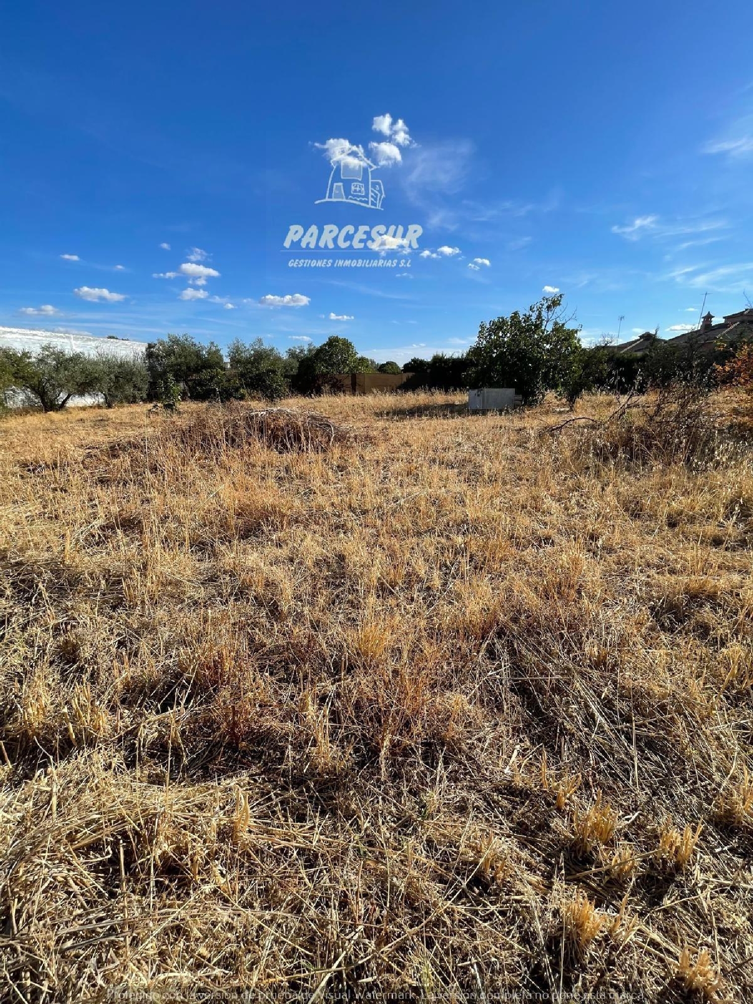  for sale plot Villafranca De Córdoba Alto Guadalquivir 6