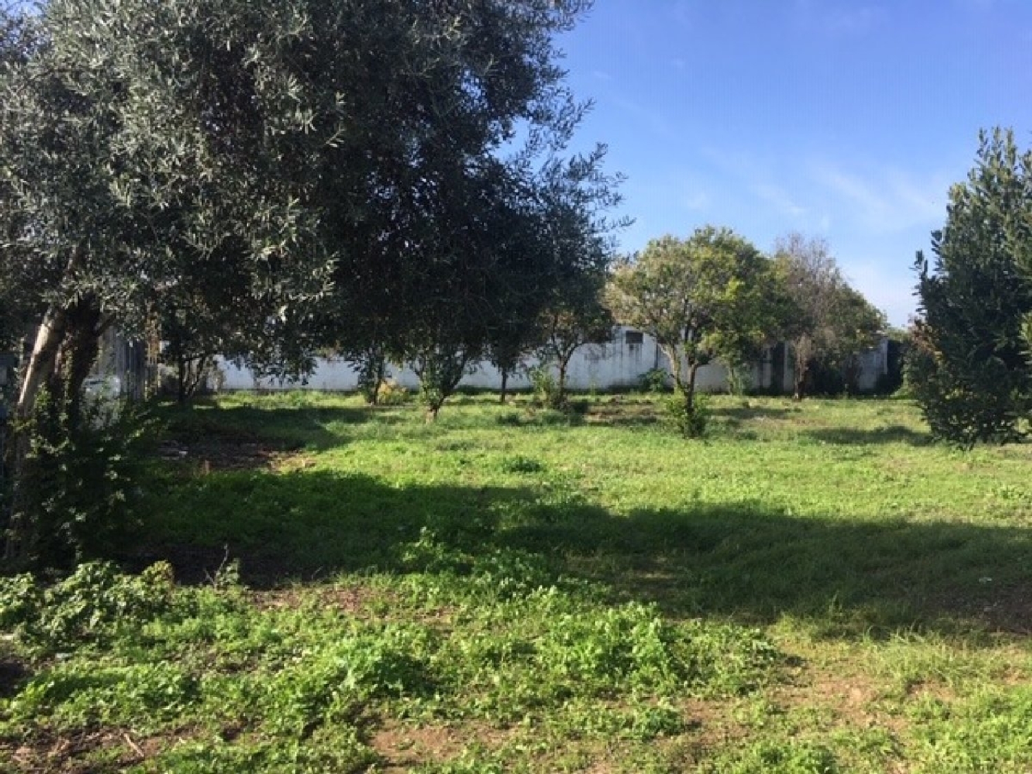  till salu tomt Villafranca De Córdoba Alto Guadalquivir 2