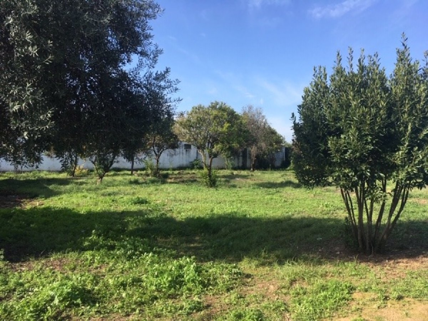  till salu tomt Villafranca De Córdoba Alto Guadalquivir 3