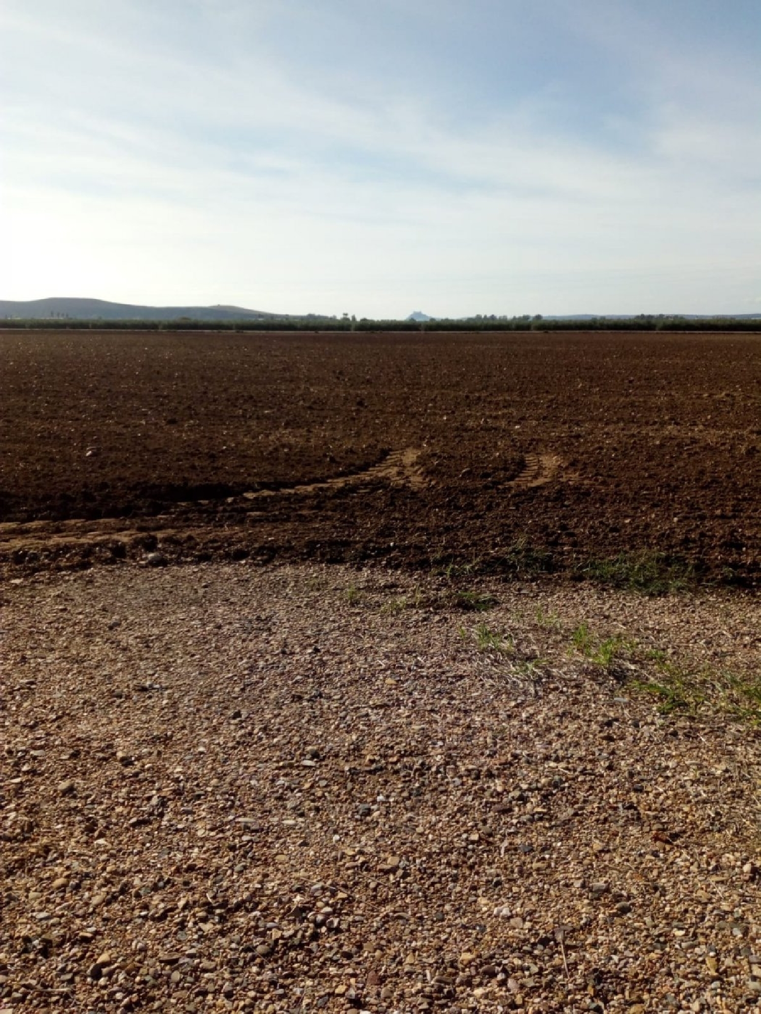  for sale plot Villafranca De Córdoba Alto Guadalquivir 5