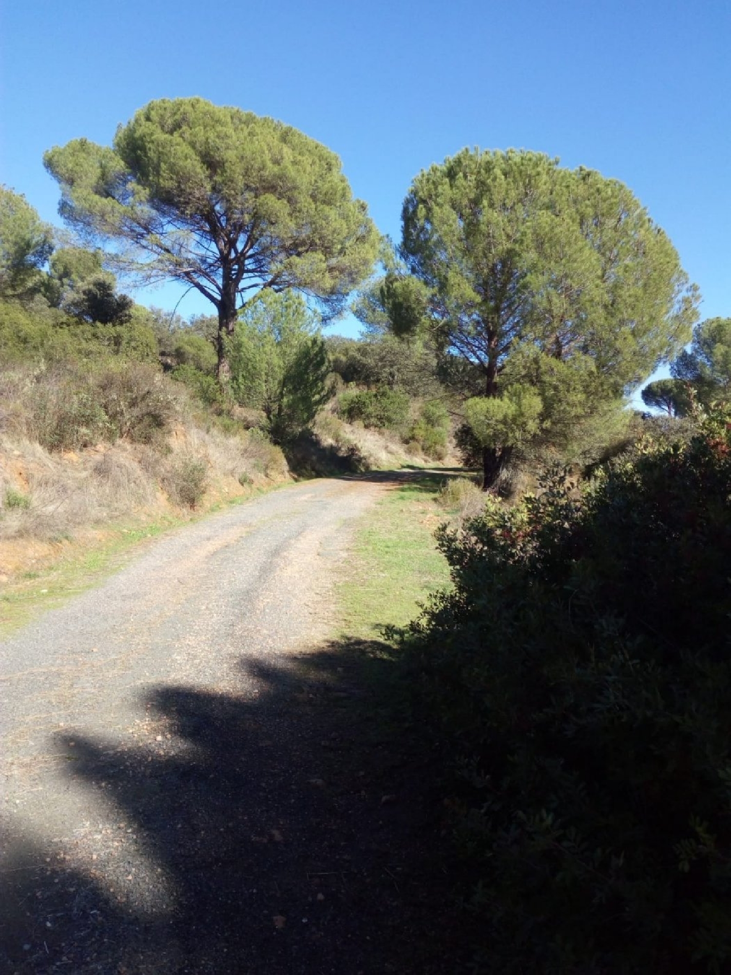  for sale plot Villafranca De Córdoba Alto Guadalquivir 2