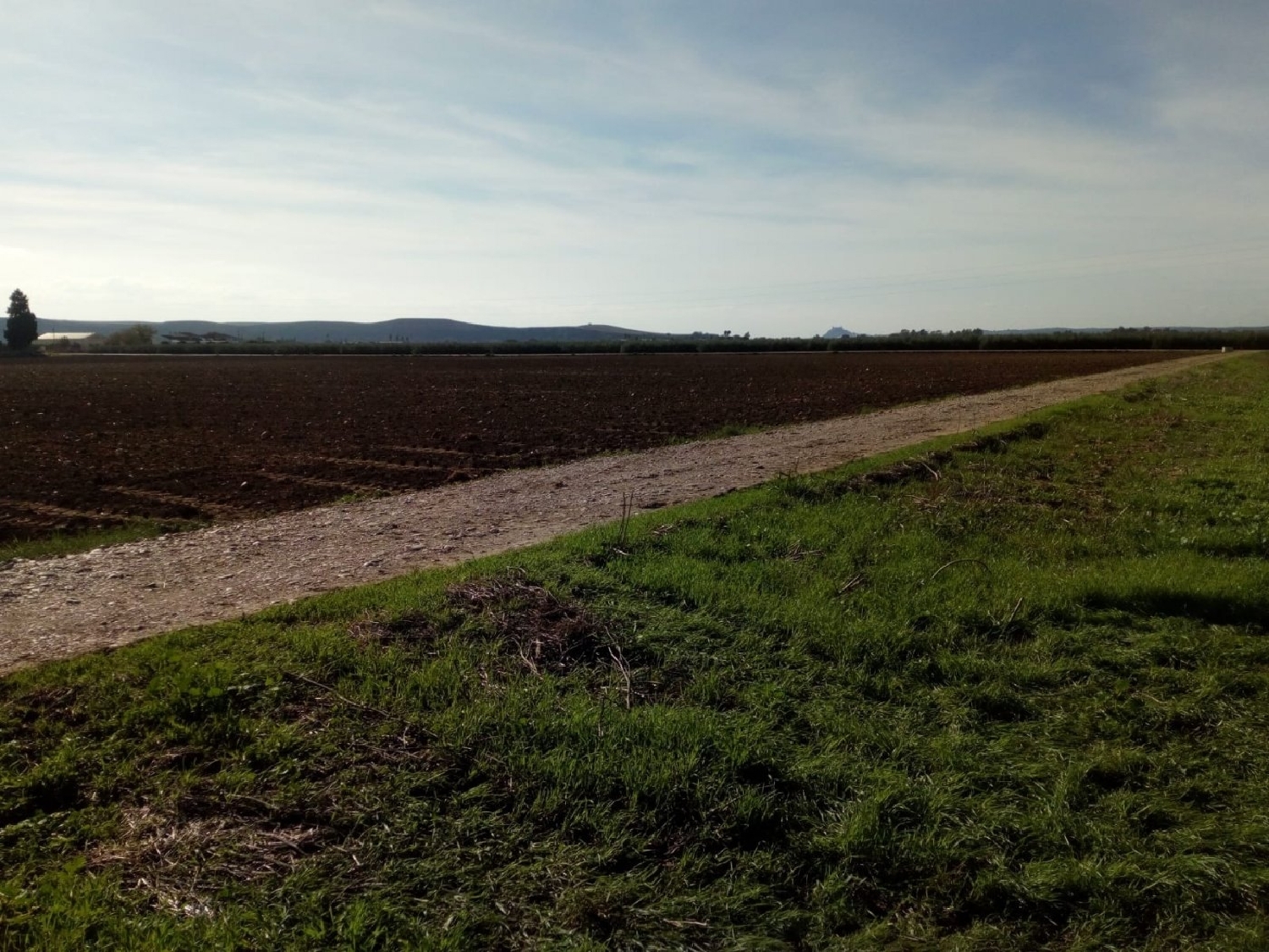  for sale plot Villafranca De Córdoba Alto Guadalquivir 3