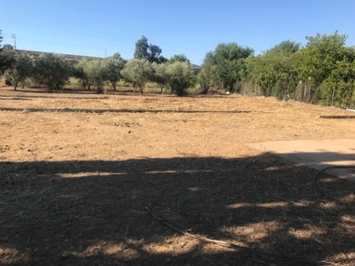 Villafranca De Córdoba Alto Guadalquivir Grundstück Bild 6292675