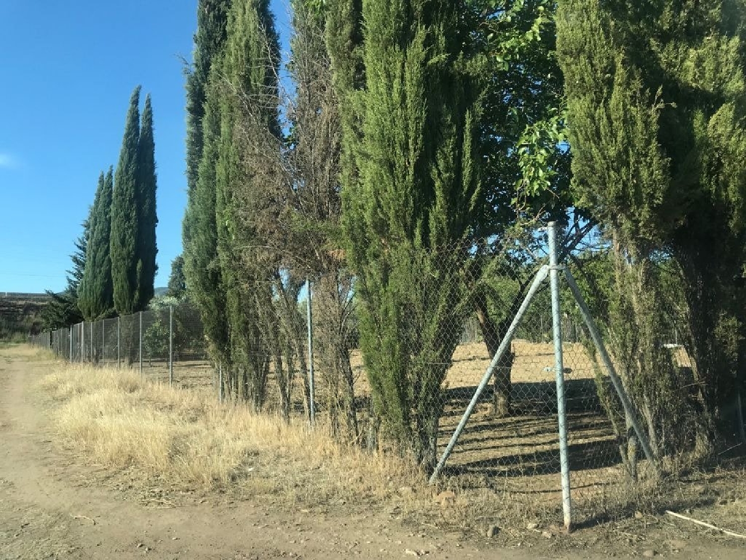 till salu tomt Villafranca De Córdoba Alto Guadalquivir 3