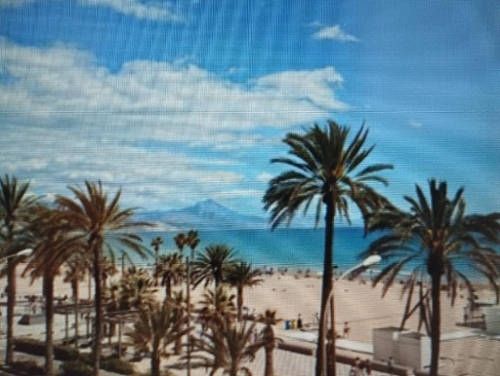Alicante Centro 03001 Alacantí local commercial foto 6285648