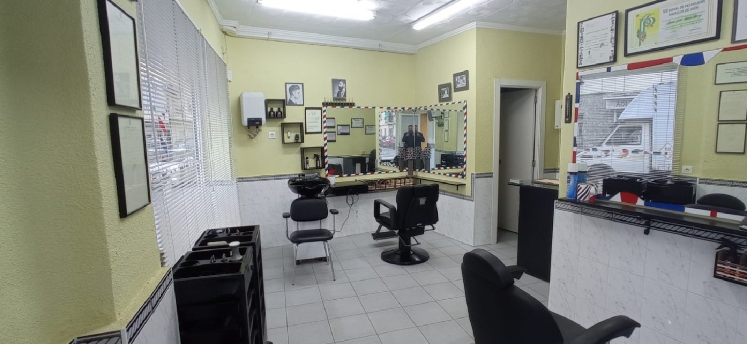  te koop bedrijfsruimte Barrio De Granada Alacantí 4