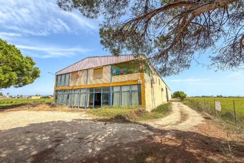 Deltebre Baix Ebre local foto 6290754