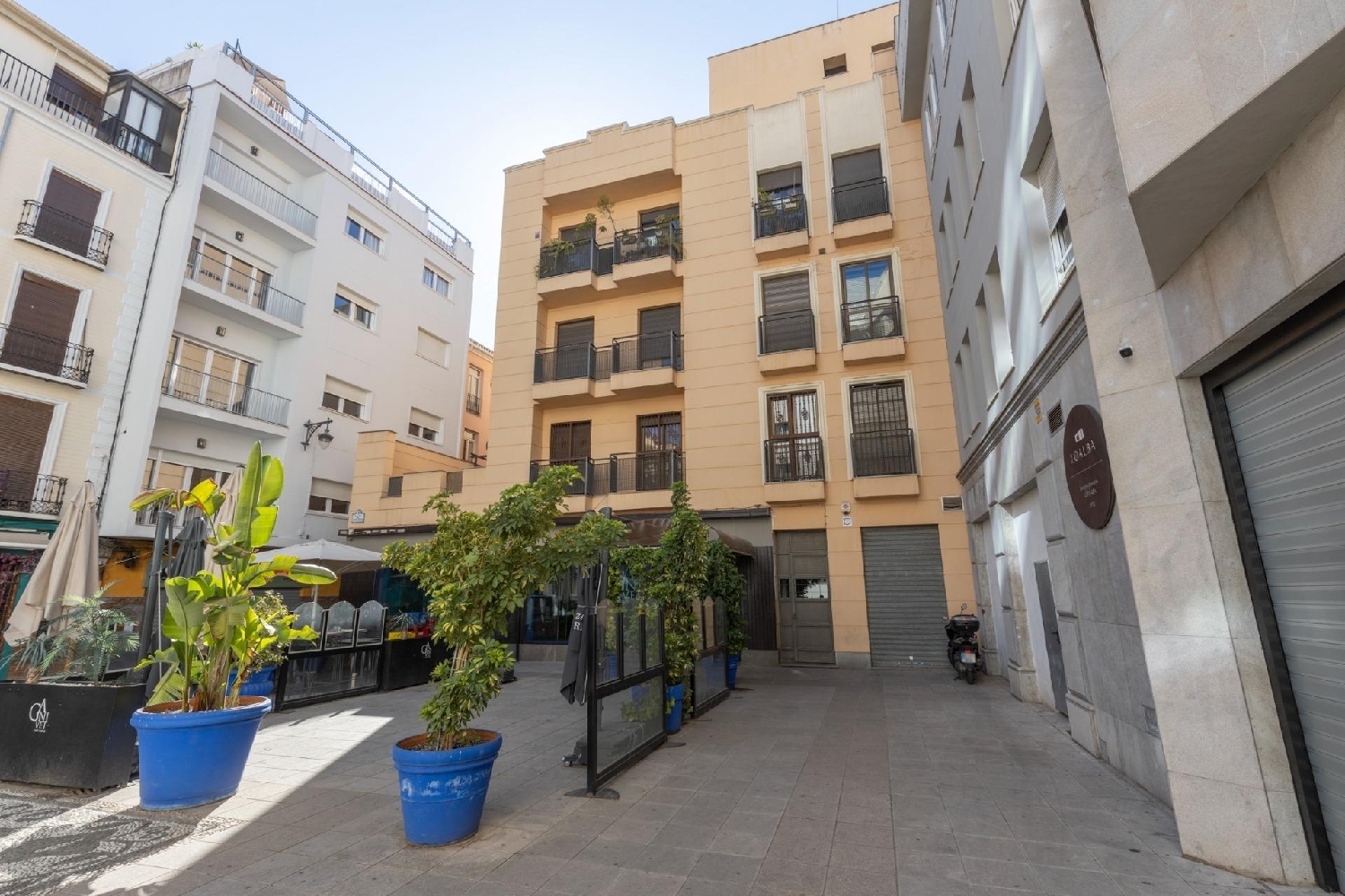 for sale commercial premise Granada Vega De Granada 2