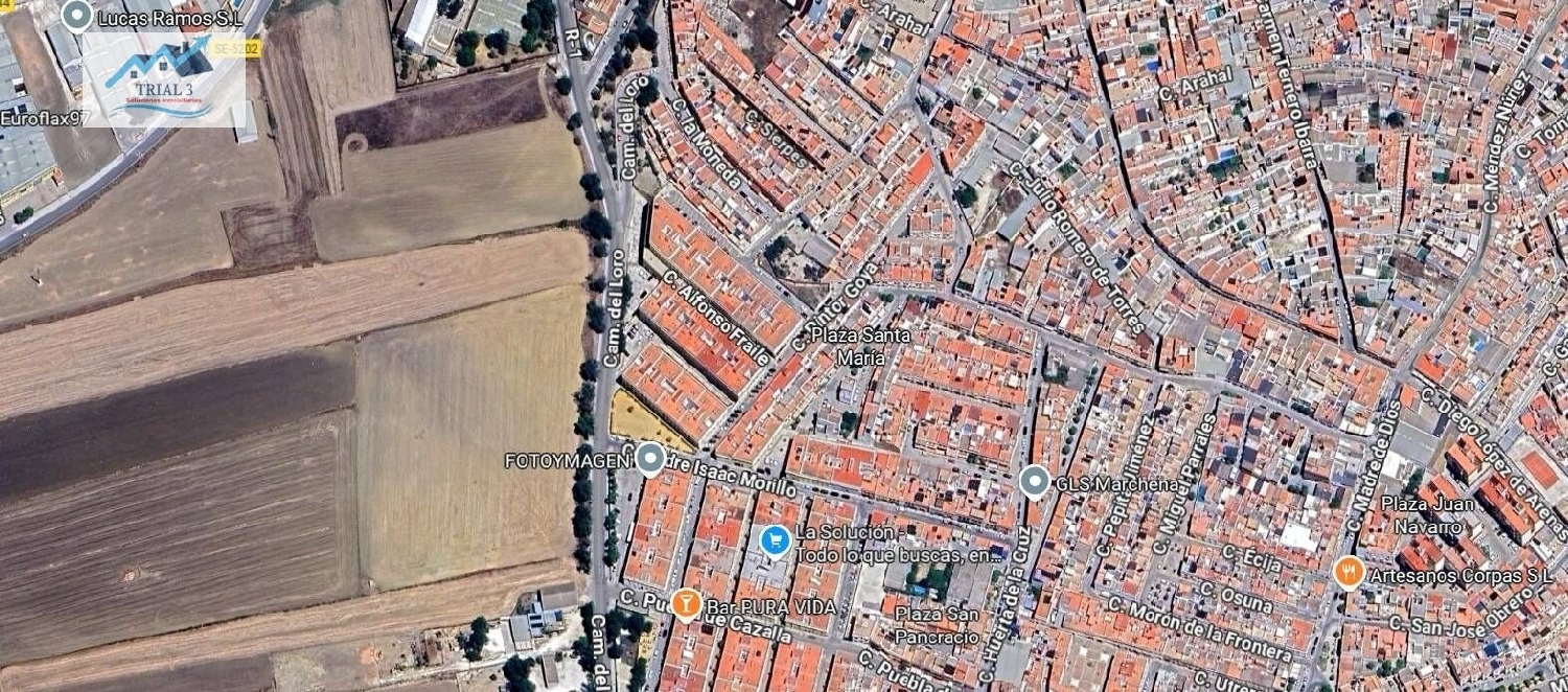  kaufen Gewerberaum Marchena Campiña De Morón Y Marchena 3
