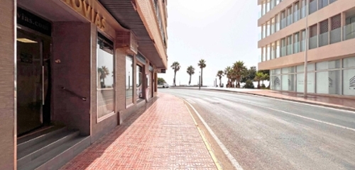 Torrevieja Baix Segura local foto 6289659