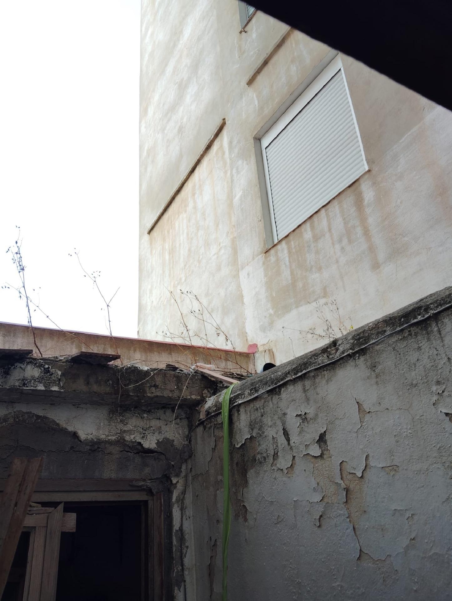  kaufen Gewerberaum Valencia De Las Torres Campiña Sur 5