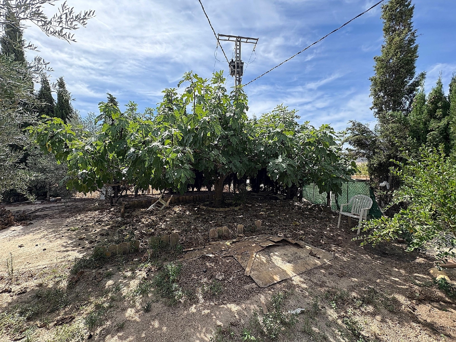  till salu parhus Pinoso Vinalopó Mitjà 29