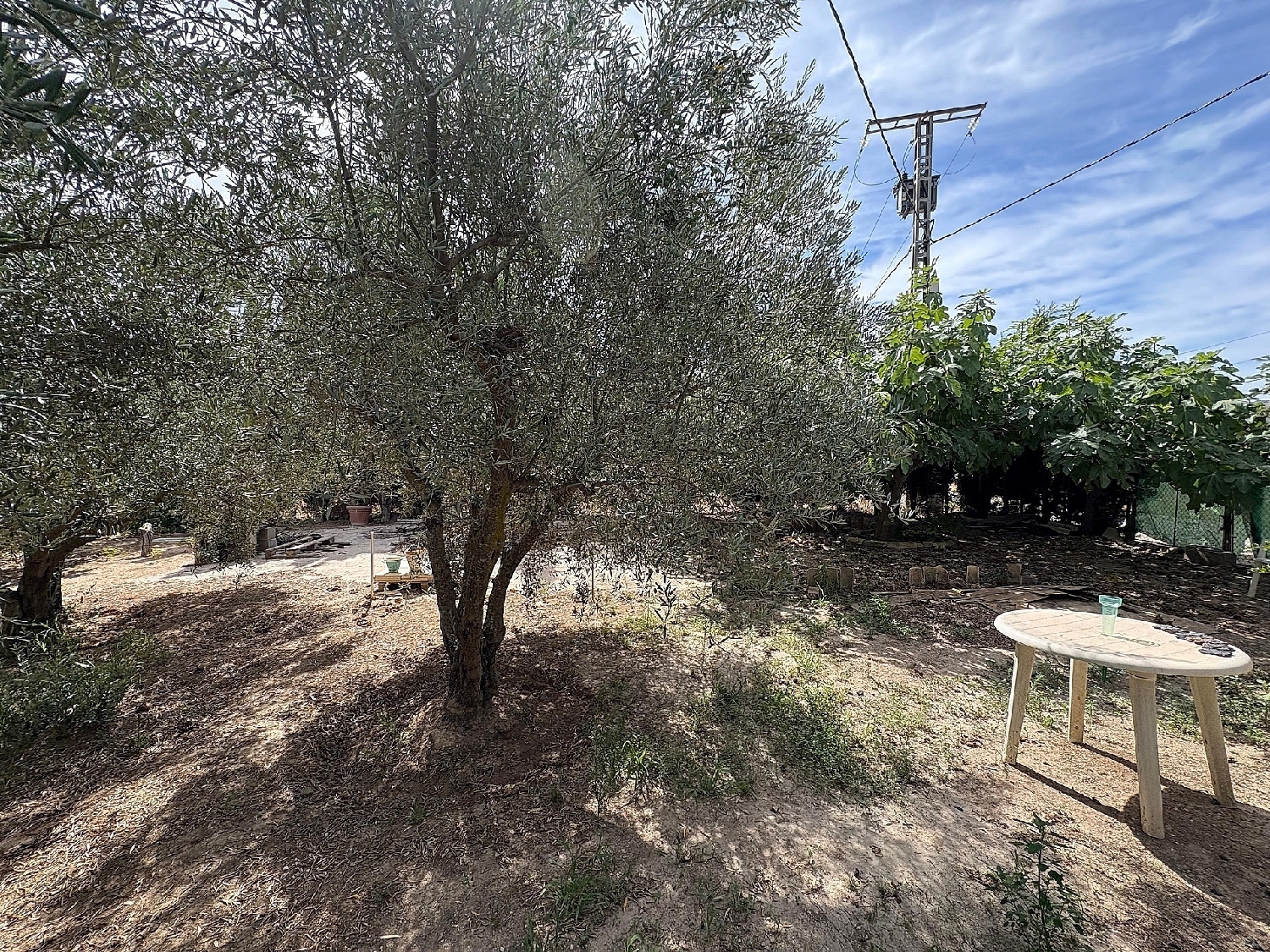  till salu parhus Pinoso Vinalopó Mitjà 30